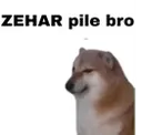 z_mbg_