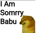 z_mbg_somrybabu