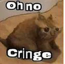 z_mbg_chringe