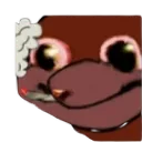 sigarpn