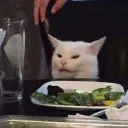 meme_cat_image_ong95YovsIykPM Discord Emoji