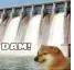 z_mbg_dam