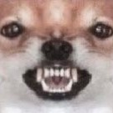 rar Discord emoji