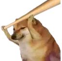 z_mbg_kodata