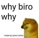 z_mbg_why_bro
