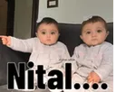 z_mbg_nikal