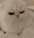 emoji_79