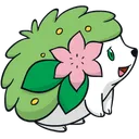 shaymin