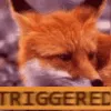 FoxTriggered FoxTriggered