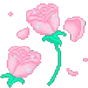pinkroses