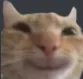 hehehe