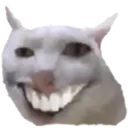 teef