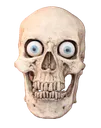 skull