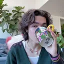 conansips