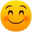 07SmilingFace