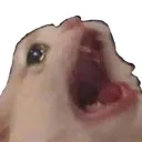 F11E4EE50CC44A50A9FFDB955DBE6765