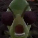AphidRage AphidRage
