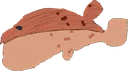 blowfish_caricature_maru