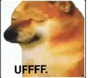 z_mbg_ufff