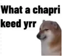 z_mbg_