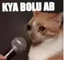 z_mbg_kya