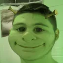 6593yannshrek Discord Emoji