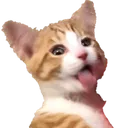 Catexcited Discord Emoji