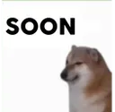 z_mbg_soon