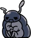 zota