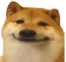 TURBO_RIP