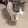 cattoDeadSlow