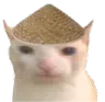 KatVietcong