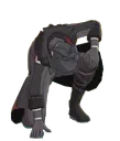fatuikneel
