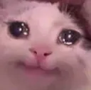 CatSob CatSob