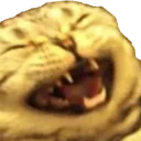 hehcat2 Discord Emoji