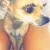 jessica_make