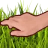 tgrass2