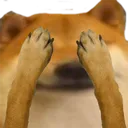 ElloSeeNoEvil