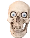 skull