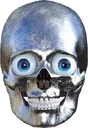 skull skull