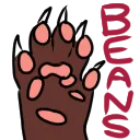 ferretbeans ferretbeans