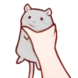 P2Ugreyratuppie
