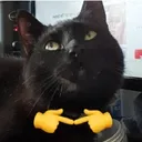 UWU