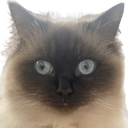 Umi Discord emoji
