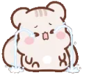 crysob