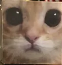 cubert cubert