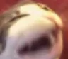 omegaghek