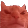 madcatstaredeluxe Discord Emoji