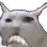 frowncat frowncat