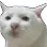 unsmilecat unsmilecat